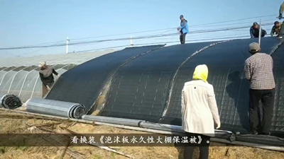 青島風全溫室配套有限公司